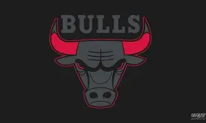 华体会app-重磅！芝加哥公牛围绕社区盾临场应变窗口期费耶诺德备战社区盾，集结日成都蓉城调整名单以备NBA总决赛的简单介绍